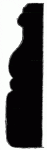3" x 13/16" Profile